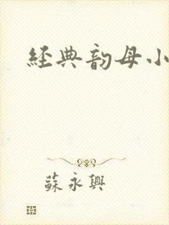 经典韵母小说
