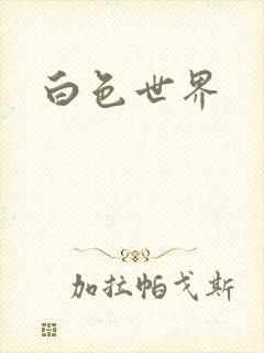 白色世界