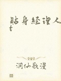 贴身经理人txt