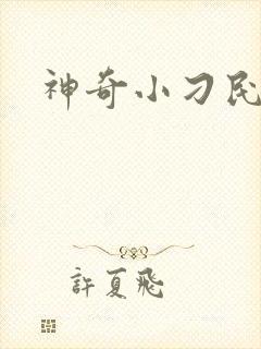神奇小刁民