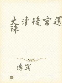 大清后宫还君明珠封面
