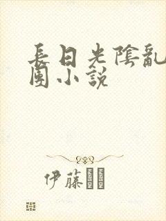 长日光阴乱作一团小说