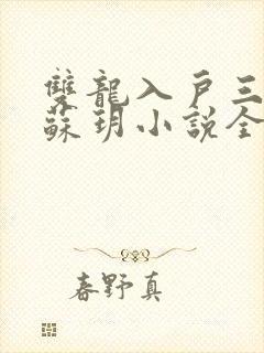 双龙入户三人行苏玥小说全文阅读