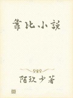 靠比小说