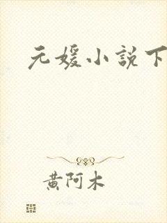 元媛小说下载