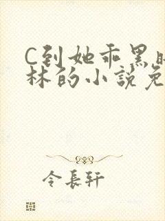 C到她乖黑暗森林的小说免费封面