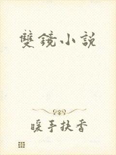 双镜小说