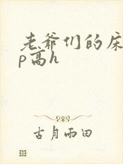 老爷们的床奴np高h封面