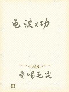 龟波x功