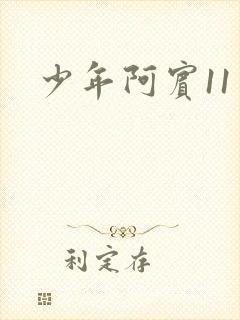 少年阿宾11封面