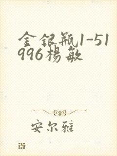 金银瓶1-51996杨敏封面