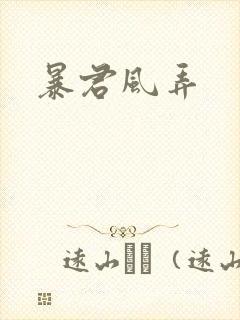 暴君风弄封面