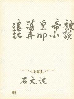 浪荡皇帝被多人玩弄np小说封面