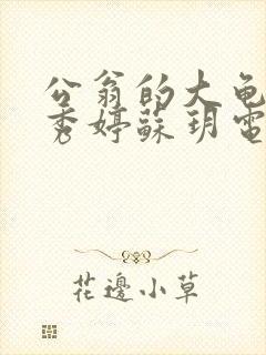 公翁的大龟挺进秀婷苏玥电影