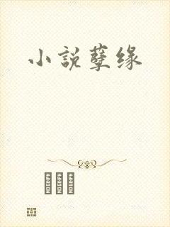 小说孽缘封面