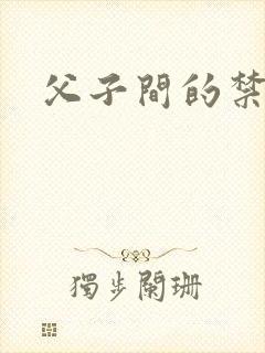 父子间的禁忌封面