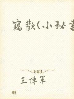 窃欢(小秘书)