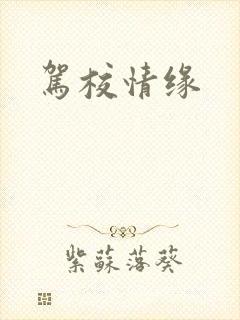 驾校情缘