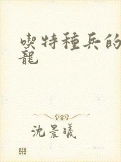 吃特种兵的大黑龙封面