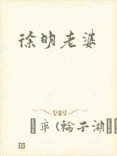 徐明老婆封面
