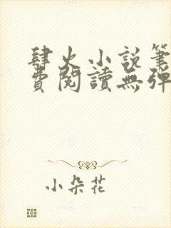 肆火小说笔趣免费阅读无弹窗封面