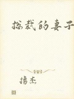 总裁的妻子