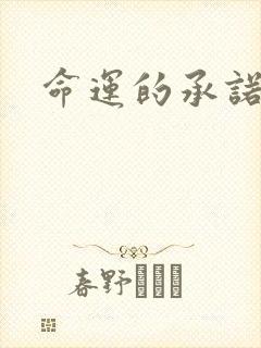 命运的承诺