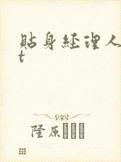 贴身经理人txt