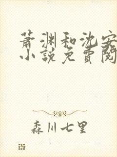 萧渊和沈安安的小说免费阅读封面