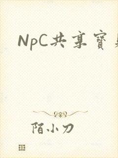 NpC共享宝贝