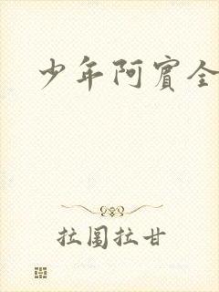 少年阿宾全文封面