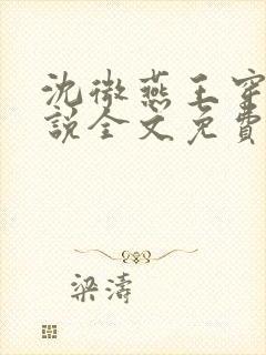 沈微燕王穿越小说全文免费阅读封面