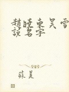 赵晓东吴雪晴小说名字