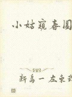 小姑窥春图封面