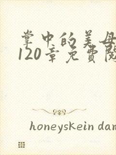 掌中的美母版主120章免费阅读