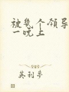 被几个领导玩弄一晚上