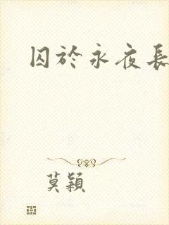 囚于永夜长佩封面