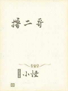 撸二哥