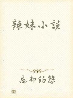 辣妹小说