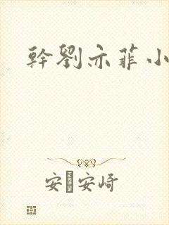 干刘亦菲小说