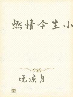 燃情今生小说