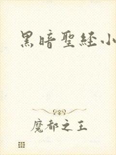 黑暗圣经小说