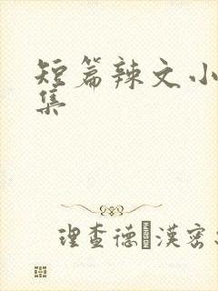 短篇辣文小说合集