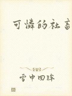可怜的社畜by