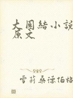 大团结小说阅读原文