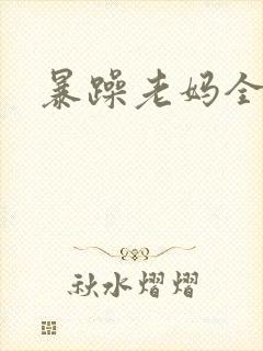 暴躁老妈全集封面