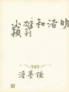 小雄和浩明夹击颖莉封面