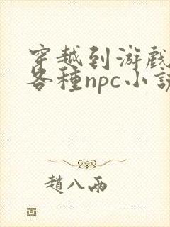 穿越到游戏里和各种npc小说