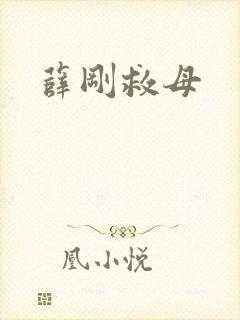 薛刚救母封面