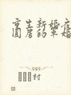 重生新婚夜正在圆房的军婚
